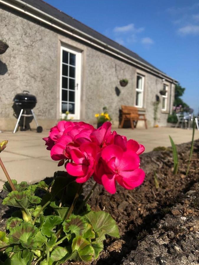 Villa Ballyconnelly Cottages, Galgorm Area Cullybackey