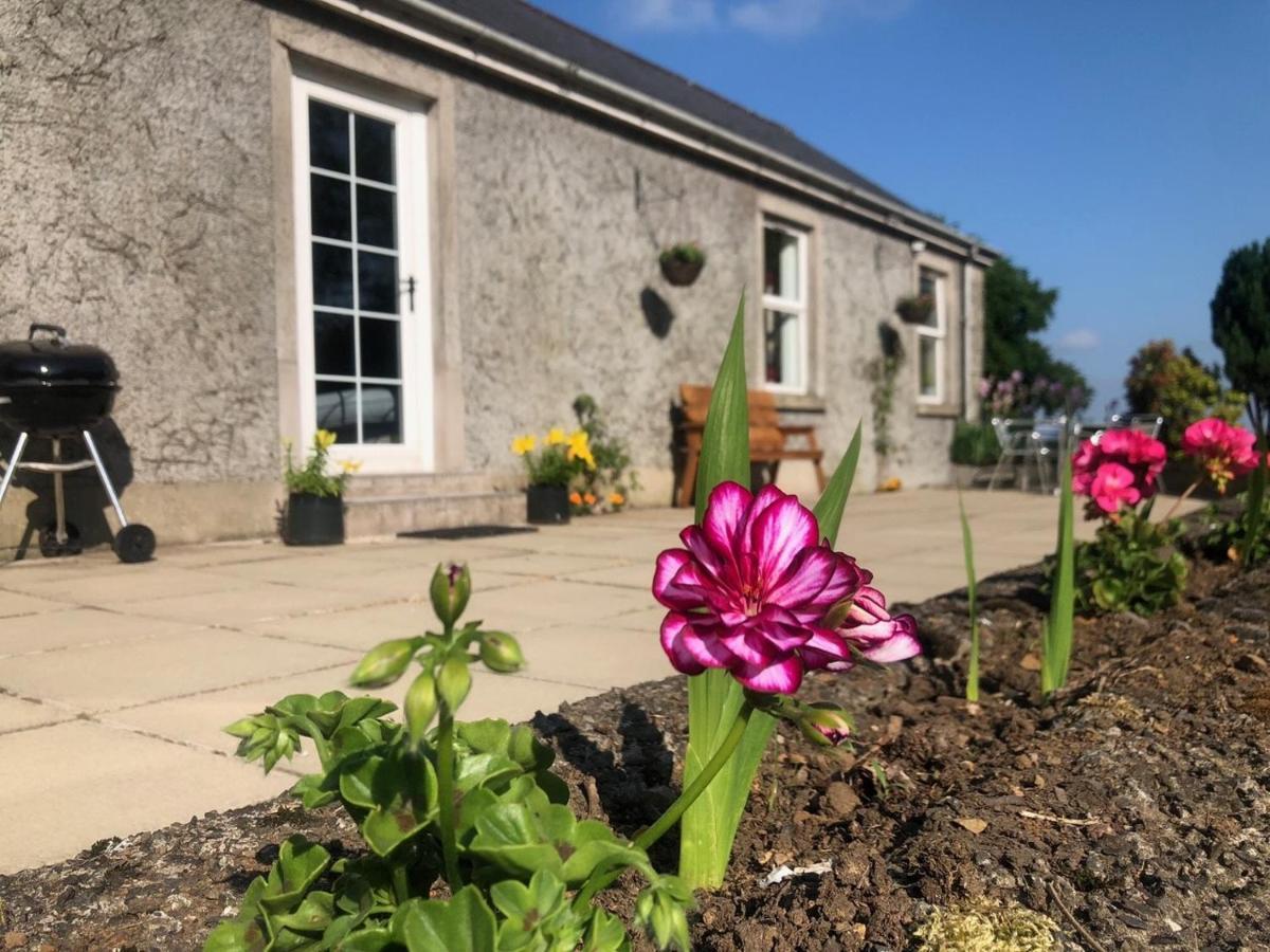 Ballyconnelly Cottages, Galgorm Area Villa Cullybackey